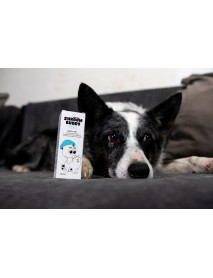 Kvapky do uší DOGS – Shroom Buddy