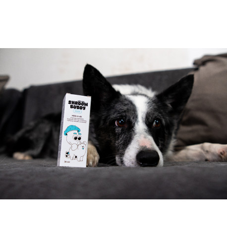 Kvapky do uší DOGS – Shroom Buddy Kvapky do uší DOGS – Shroom Buddy