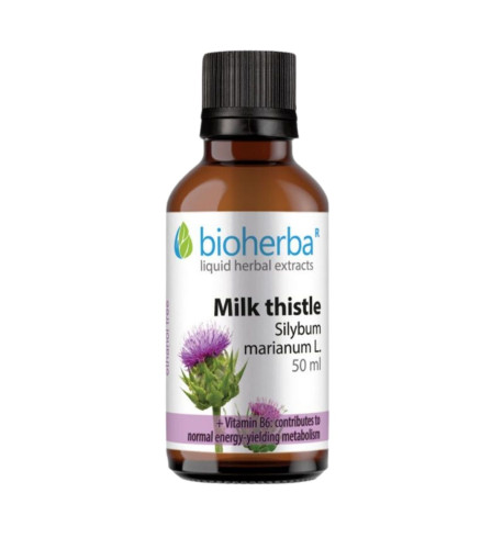 Pestrec mariánsky (Silybum marianum) kvapky – tinktúra – 50 ml – Bioherba Pestrec mariánsky (Silybum marianum) kvapky – tinktúra – 50 ml – Bioherba