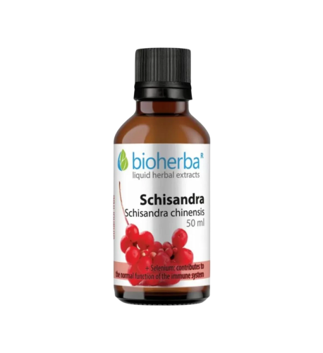 Schizandra čínska – 50 ml – Bioherba
