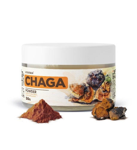 Čaga prášok – 50 g – Vitateka