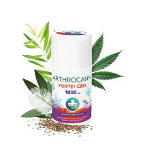 ARTHROCANN konopný masážny gél FORTE+1800 mg CBD - 90 ml - Annabis ARTHROCANN konopný masážny gél FORTE+1800 mg CBD - 90 ml - Annabis