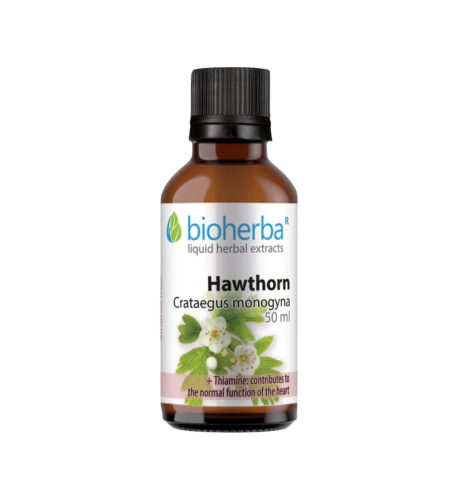 Hloh - tinktúra kvapky - 50 ml - Bioherba