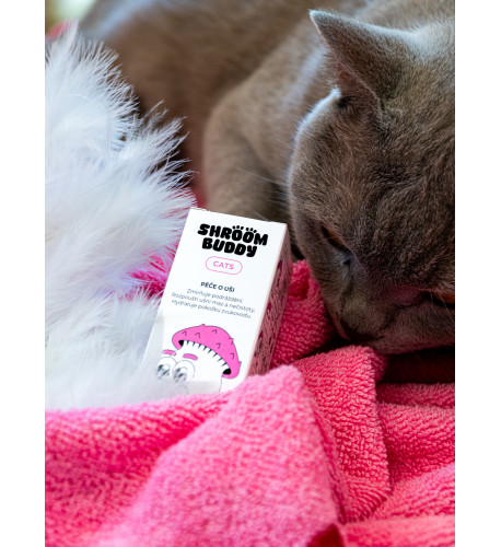 Kvapky do uší CATS – Shroom Buddy Kvapky do uší CATS – Shroom Buddy