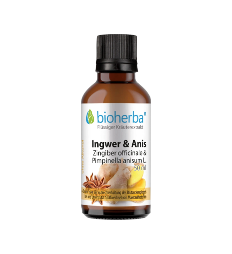 Zázvor & aníz kvapky – tinktúra – 50 ml – Bioherba