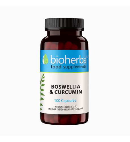 Boswellia & kurkumín – 100 kapsúl – Bioherba