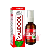 Validol sprej – výživový doplnok – 20 ml – Vitateka Validol sprej – výživový doplnok – 20 ml – Vitateka