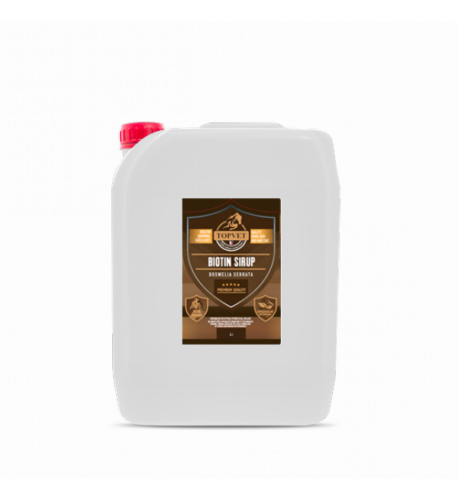 Sirup Biotin s bosweliou pre kone 5000 ml - Green idea