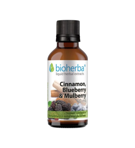 Cejlónska škorica, čučoriedka & čierna moruša kvapky – tinktúra – 50 ml – Bioherba