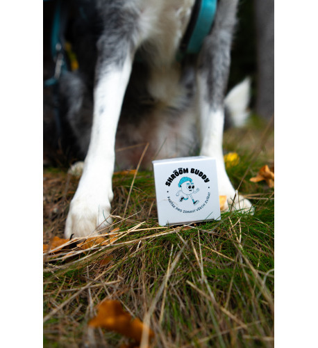Balzam na labky DOGS – Shroom Buddy Balzam na labky DOGS – Shroom Buddy