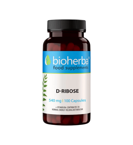 D-ribóza 540 mg – 100 kapsúl – Bioherba D-ribóza 540 mg – 100 kapsúl – Bioherba