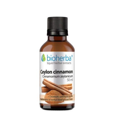 Cejlónska škorica - tinktúra kvapky - 50 ml - Bioherba Cejlónska škorica - tinktúra kvapky - 50 ml - Bioherba
