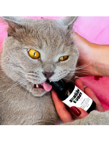 Svieži dych CATS – Shroom Buddy