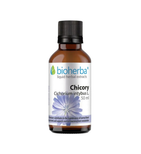 Čakanka (kávová) - tinktúra kvapky - 50 ml - Bioherba