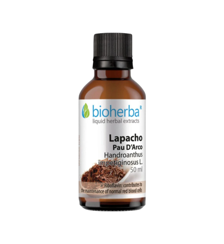 Pau D’Arco (Lapacho) kvapky – tinktúra – 50 ml – Bioherba