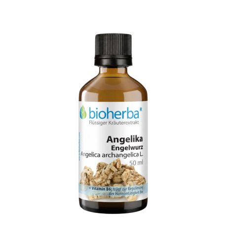 Angelika (Engelwurz) kvapky – tinktúra – 50 ml – Bioherba