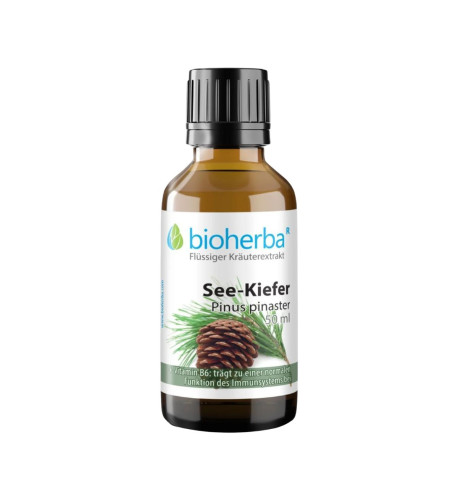 Borovica prímorská - tinktúra kvapky - 50 ml - Bioherba Borovica prímorská - tinktúra kvapky - 50 ml - Bioherba