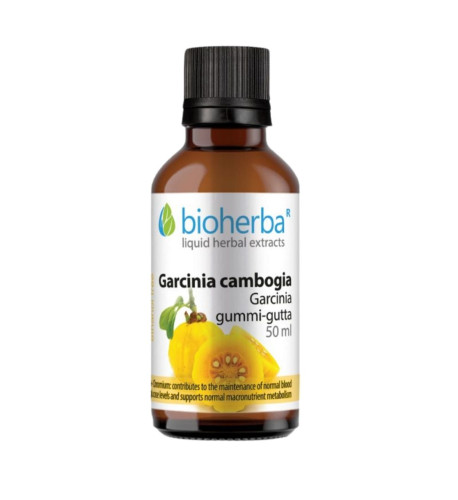 Garcinia Cambogia - tinktúra kvapky - 50 ml - Bioherba