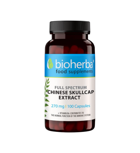 Šišiak bajkalský extrakt 270 mg – 100 kapsúl – Bioherba