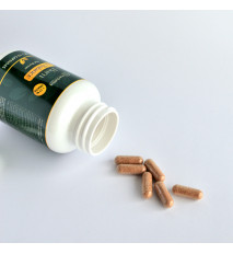 Fat Burner - 70 kapsúl