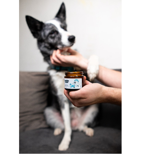 Balzam na labky DOGS – Shroom Buddy Balzam na labky DOGS – Shroom Buddy