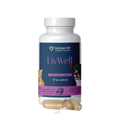 LIVWELL - podpora pečene a metabolizmu pre psy a mačky 60 kapsúl - Valsam Vet