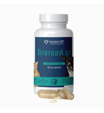 IMMUNUP - podpora imunity pre psy a mačky 60 kapsúl - Valsam Vet IMMUNUP - podpora imunity pre psy a mačky 60 kapsúl - Valsam Vet