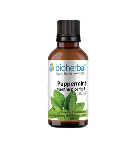 Mäta pieporná - tinktúra kvapky - 50 ml - Bioherba Mäta pieporná - tinktúra kvapky - 50 ml - Bioherba