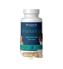 IMMUNUP - podpora imunity pre psy a mačky 60 kapsúl - Valsam Vet IMMUNUP - podpora imunity pre psy a mačky 60 kapsúl - Valsam Vet