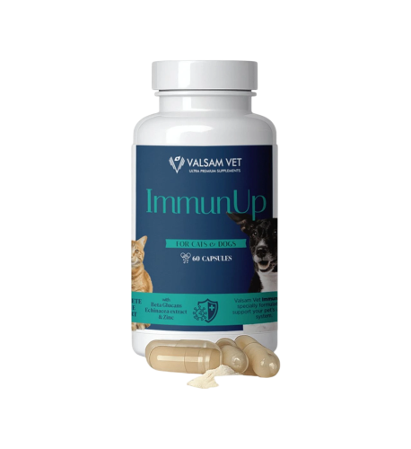 IMMUNUP - podpora imunity pre psy a mačky 60 kapsúl - Valsam Vet