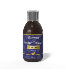 Lipozomálny Hovädzí Kolagén - 200 ml Lipozomálny Hovädzí Kolagén - 200 ml