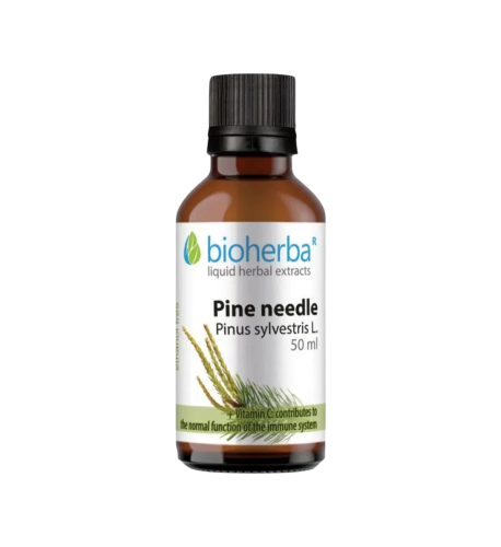 Borovicové výhonky - tinktúra kvapky - 50 ml - Bioherba