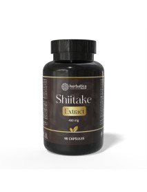 Shiitake Extrakt - 90 kapsúl