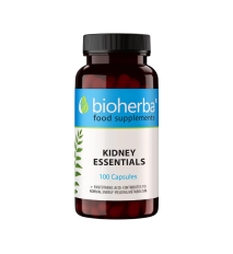 Kidney Essentials – 100 kapsúl – Bioherba Kidney Essentials – 100 kapsúl – Bioherba