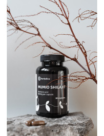 Zvýhodnený set: 2 x Shilajit - očistené mumio premium (500mg) - 80 kapsúl -
