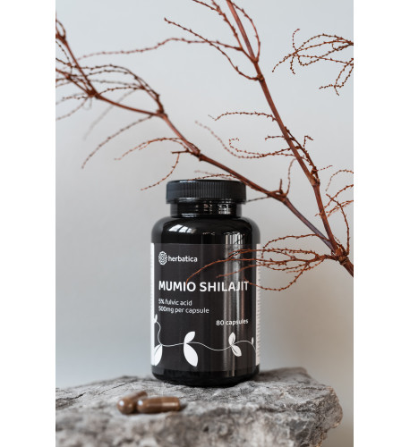 Zvýhodnený set: 2 x Shilajit - očistené mumio premium (500mg) - 80 kapsúl -