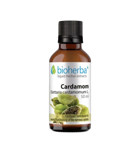 Kardamóm - tinktúra kvapky - 50 ml - Bioherba Kardamóm - tinktúra kvapky - 50 ml - Bioherba