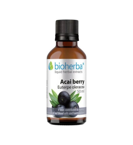 Acai bobule - tinktúra kvapky - 50 ml - Bioherba Acai bobule - tinktúra kvapky - 50 ml - Bioherba