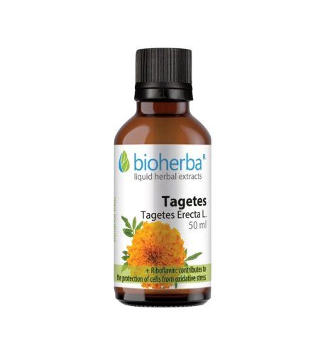 Aksamietnica kvapky – tinktúra – 50 ml – Bioherba Aksamietnica kvapky – tinktúra – 50 ml – Bioherba