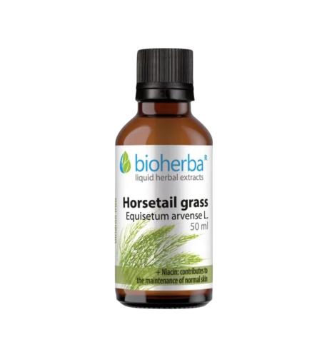 Praslička (Horsetail) kvapky – tinktúra – 50 ml – Bioherba