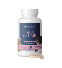 SKIN & HAIR - podpora zdravej kože a lesklej srsti pre psy a mačky 60 kapsúl - Valsam Vet SKIN & HAIR - podpora zdravej kože a lesklej srsti pre psy a mačky 60 kapsúl - Valsam Vet