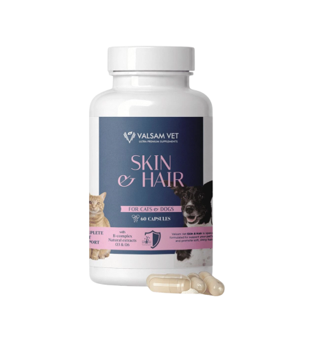 SKIN & HAIR - podpora zdravej kože a lesklej srsti pre psy a mačky 60 kapsúl - Valsam Vet SKIN & HAIR - podpora zdravej kože a lesklej srsti pre psy a mačky 60 kapsúl - Valsam Vet