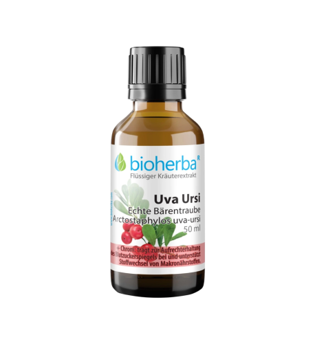 Medvedica lekárska – 50 ml – Bioherba