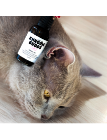 Kvapky do uší CATS – Shroom Buddy