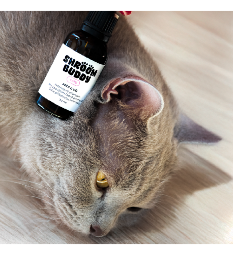 Kvapky do uší CATS – Shroom Buddy Kvapky do uší CATS – Shroom Buddy