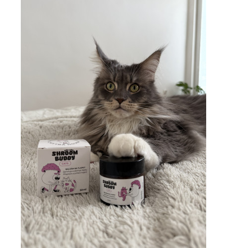 Balzam na labky CATS – Shroom Buddy Balzam na labky CATS – Shroom Buddy