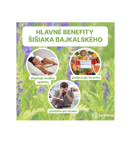 Šišiak bajkalský - tinktúra 100 ml