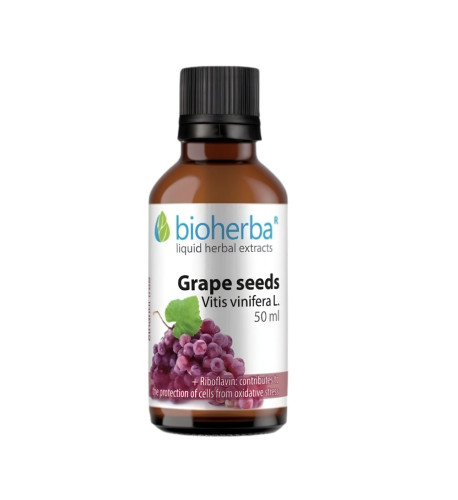 Hroznové jadierka - tinktúra kvapky - 50 ml - Bioherba
