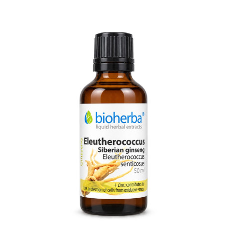 Sibírsky ženšen kvapky – tinktúra – 50 ml – Bioherba Sibírsky ženšen kvapky – tinktúra – 50 ml – Bioherba