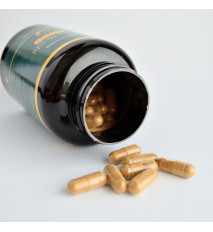 Reishi Extract 30 % polysacharidov - 90 kapsúl